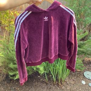 Adidas Velour Cropped Hoodie